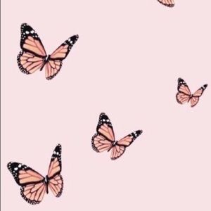 Meet your Posher, Jackson